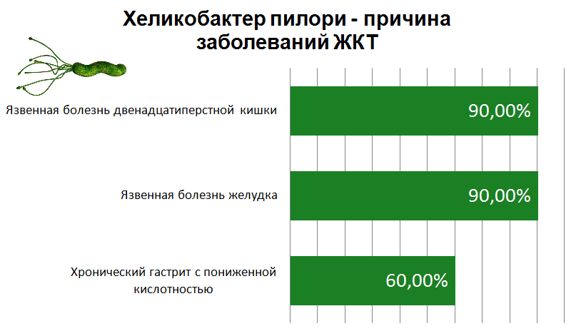 Механизм негативного воздействия Helicobacter Pylori