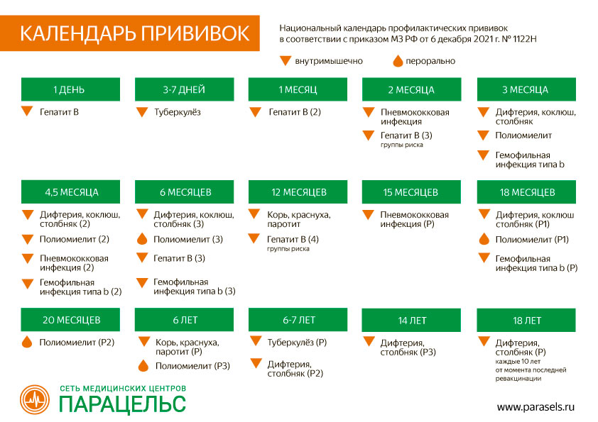 Календарь прививок